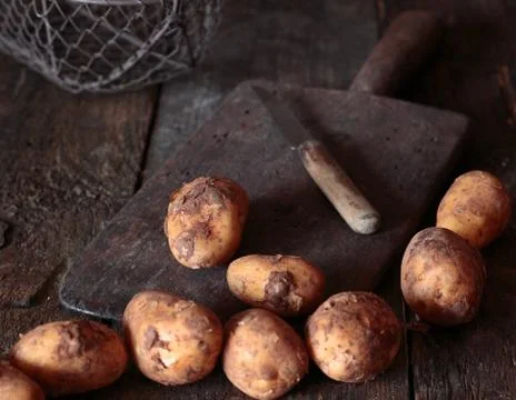 Fresh unwashed potatoes Stock Photos