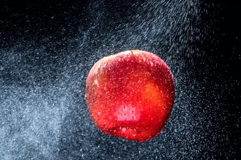 Fresh  Variegated apple  gets sprayed with water on black background. Concept Foto stock