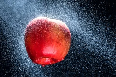 Fresh  Variegated apple  gets sprayed with water on black background. Concept Foto stock