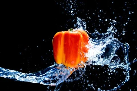 Fresh Variegated pepper gets splashed  with water on black background. Concep Stock Photos