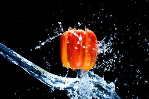 Fresh Variegated pepper gets splashed  with water on black background. Concep Foto stock