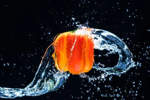 Fresh Variegated pepper gets splashed  with water on black background. Concep Stock Photos