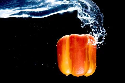 Fresh Variegated pepper gets splashed  with water on black background. Concep Foto stock