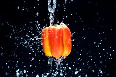 Fresh Variegated pepper gets splashed  with water on black background. Concep Foto stock