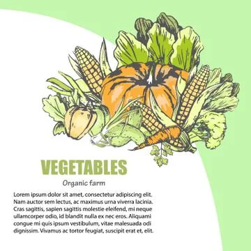 Fresh Vegetable Assortment with Text Information Stock Illustration