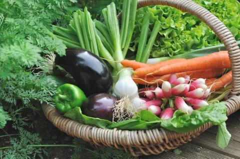 Fresh vegetable in basket Stock Photos