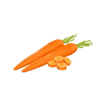 Fresh vegetable Carrot isolated vector in white background Stock Illustration