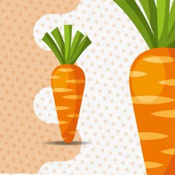 Fresh vegetable carrots on dots background 스톡 일러스트