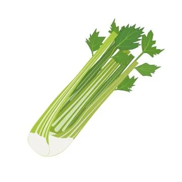 Fresh Vegetable Celery isolated icon Illustrazione stock