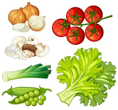 Fresh Vegetable Collection with Tomatoes Onions Lettuce and Green Peas Stock Illustration