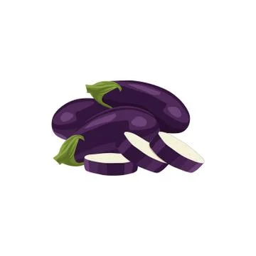 Fresh vegetable Eggplant isolated vector in white background Stock Illustration