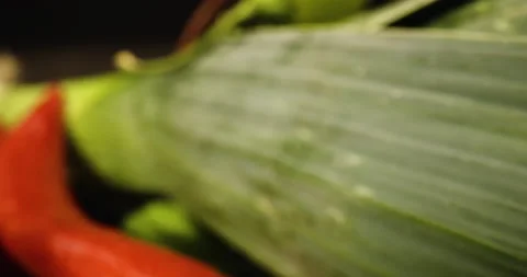 Fresh vegetable in extreme close up, macro shot, tomato, basil, salad, paprika Stock Footage 146514220