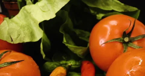 Fresh vegetable in extreme close up, macro shot, tomato, basil, salad, paprika Stock Footage 146514243
