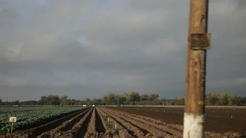 Fresh vegetable farm fields drive by in Stanislaus county California Stock Footage 165373582