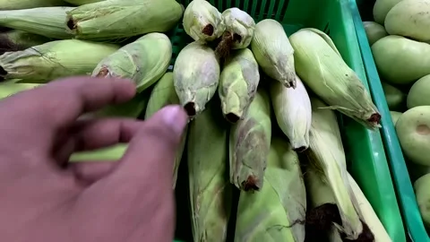 Fresh vegetable in the market Vidéo 345338960