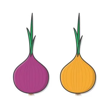 Fresh Vegetable Onion Vector Icon Illustration. Onion Flat Icon Stock Illustration