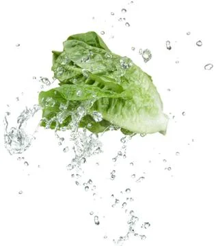 Fresh vegetable Stock Photos