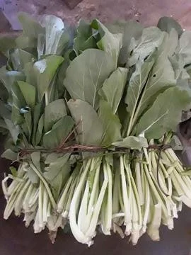 Fresh vegetable Stock Photos