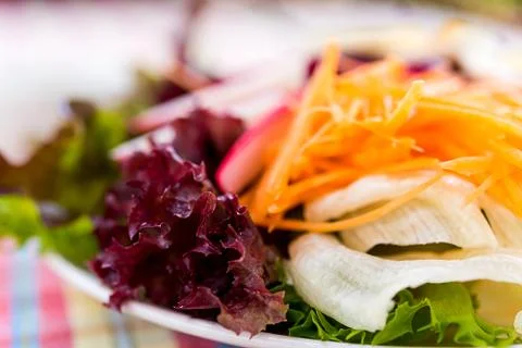 Fresh vegetable salad with eggs Fotos Stock