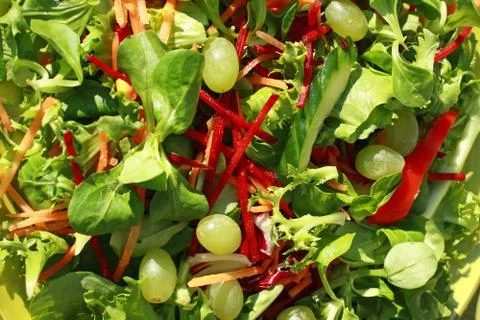Fresh vegetable salad Stock Photos