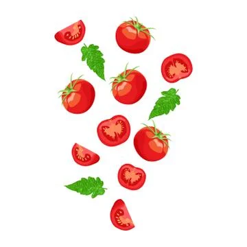 Fresh vegetable tomato falling with cut pieces and leaves vector Stock Illustration