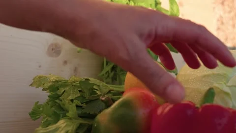 Fresh vegetables and hand Stock-Footage 319315941
