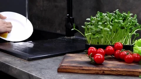 Fresh vegetables and herbs creating a vibrant kitchen garden scene Vídeos de archivo 296314502