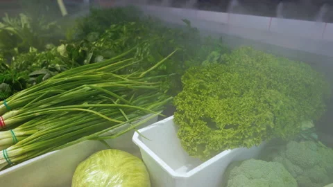 Fresh vegetables are cooled on display Stock Footage 140080963