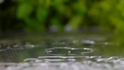 Fresh vegetables are falling on the table Stock Footage 85220088