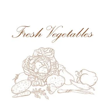 Fresh vegetables banner Stock Illustration