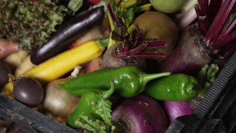 Fresh vegetables in a basket, Edensor, Derbyshire, England, United Kingdom Stock Footage 287250231