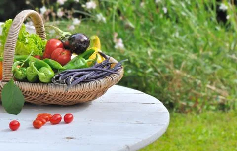 Fresh vegetables in basket Stock Photos