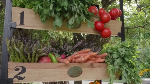 Fresh vegetables in beautiful stacked numbered boxes Video stock 169660430
