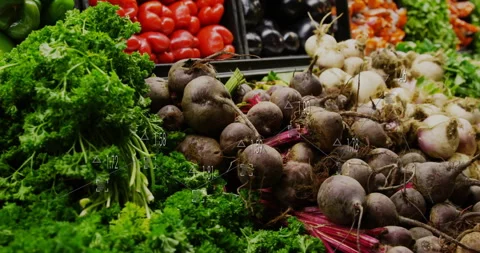 Fresh vegetables like beets, kale, tomatoes with data processing animation Stock Footage 305188999
