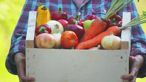 Fresh vegetables in a box on the hands of a young girl. Stock Footage 114240056