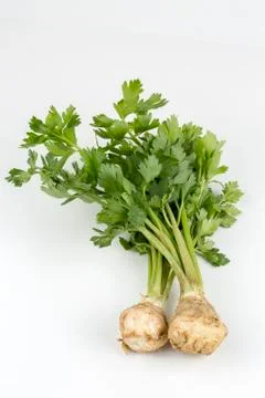 Fresh vegetables; celery on the white background Stock Photos