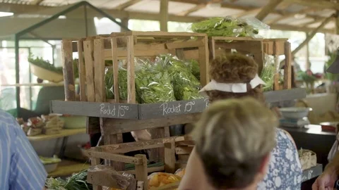 Fresh Vegetables Close Up Stock Footage 105725242