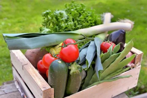 Fresh vegetables in crate put a table in a garden Stock Photos