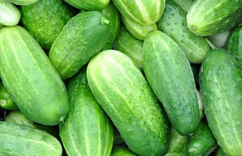 Fresh vegetables cucumbers Stock Photos