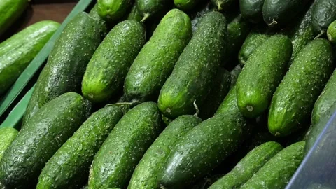 Fresh vegetables from the field Video stock 237213719
