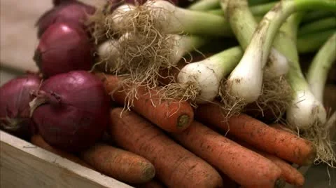 Fresh vegetables Stock Footage 11304302