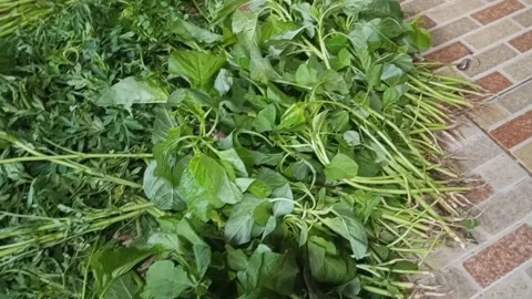 Fresh vegetables Stock Footage 243647033