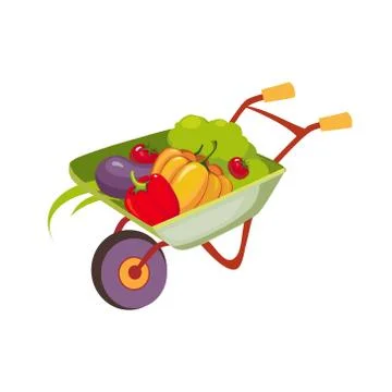 Fresh Vegetables Harvest In Wheel Barrel, Farm And Farming Related Illustration Stock Illustration