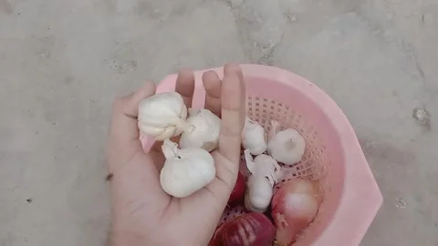 Fresh Vegetables Held in Hand Under Natural Daylight Video stock 347182607