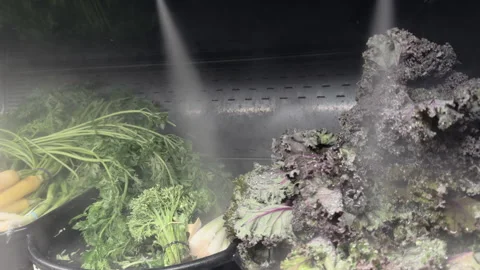 Fresh Vegetables misted at grocery store 4k Stock Footage 332528219