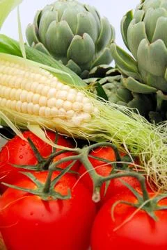 Fresh vegetables Stock Photos