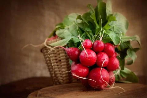 Fresh vegetables Stock Photos