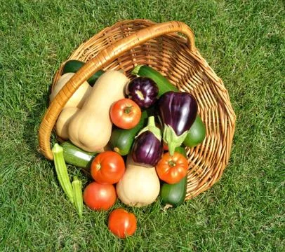 Fresh vegetables Stock Photos
