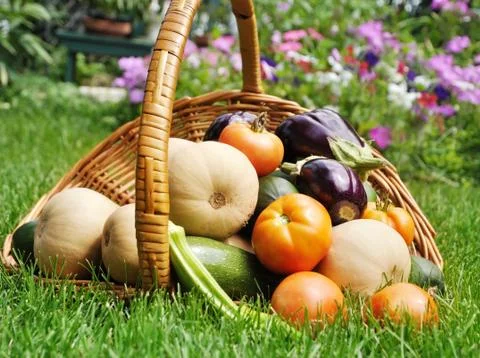 Fresh vegetables Stock Photos