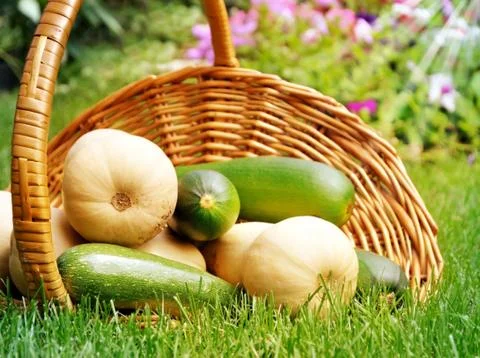 Fresh vegetables Stock Photos